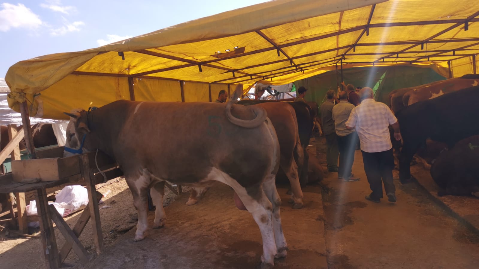 Gebze’de Kurban Bayramına Doğru