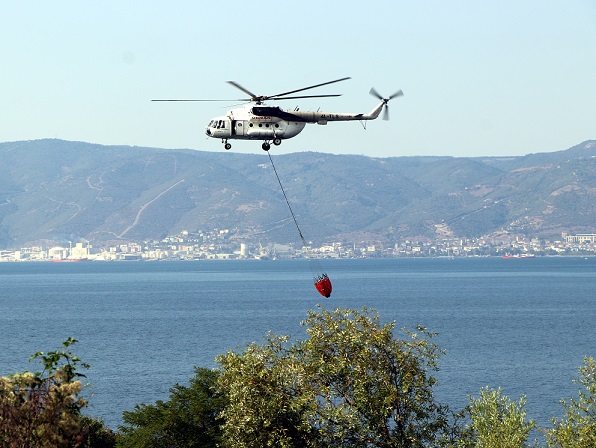 Kocaeli’de çıkan orman yangını söndürüldü