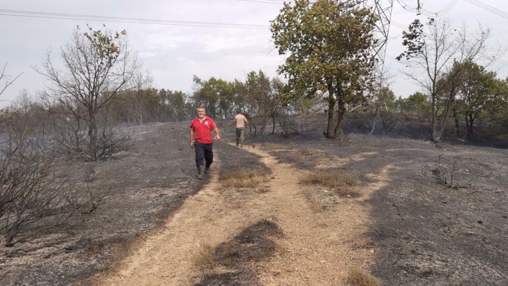 Gebze’de çıkan orman yangınına müdahale ediliyor