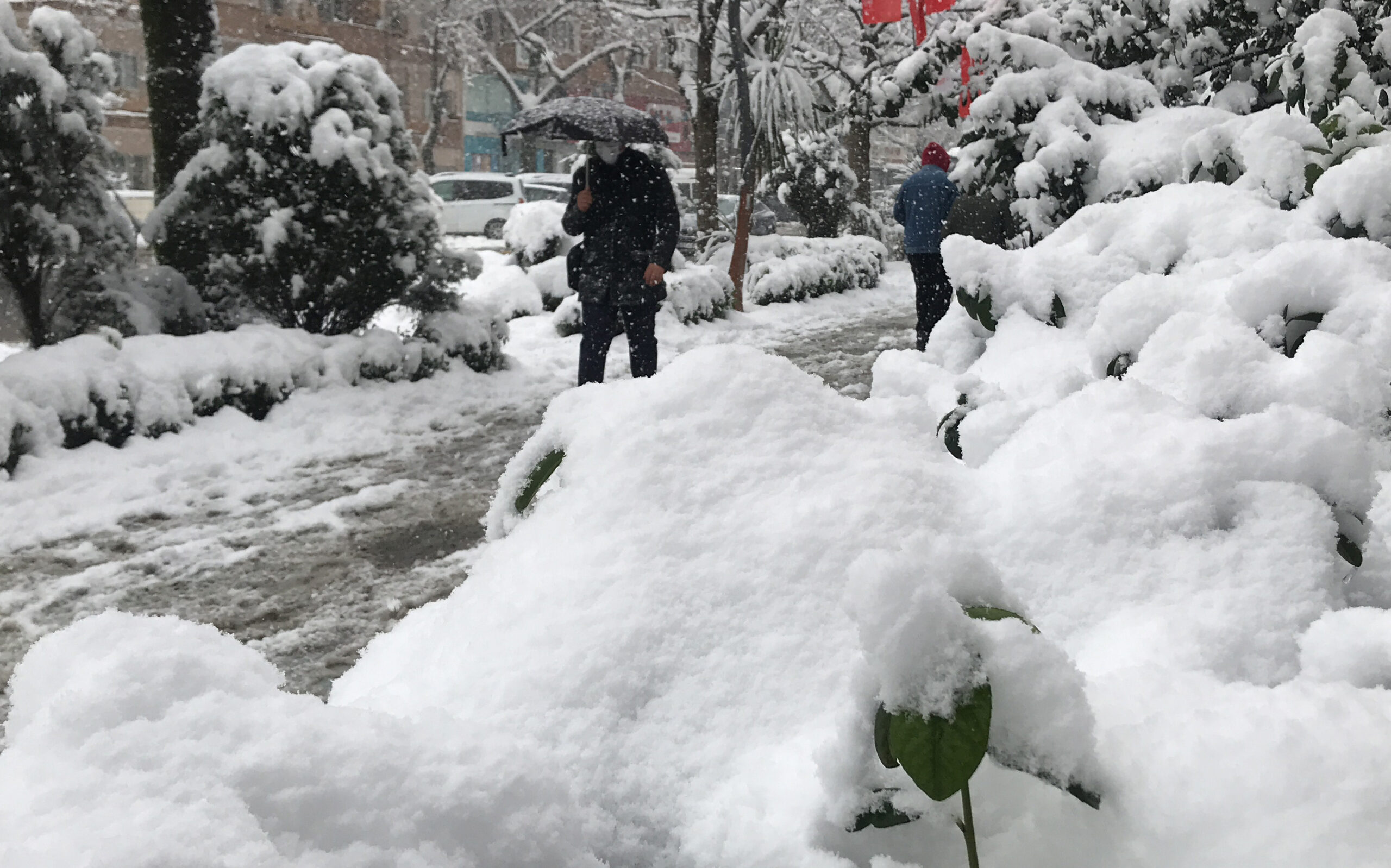 Kocaeli’de kar yağışı etkili oluyor