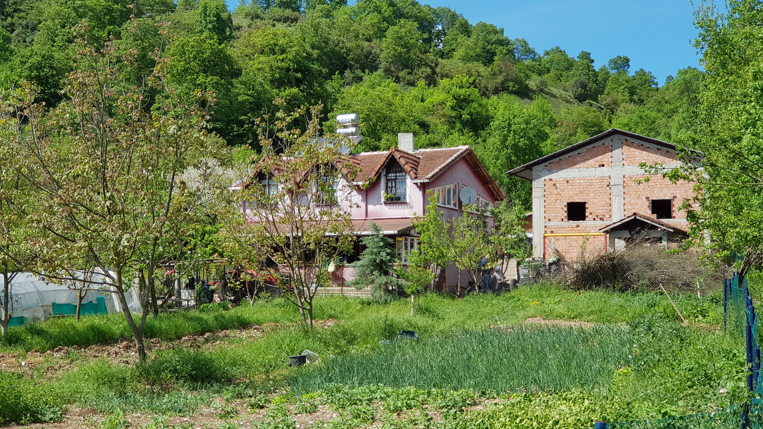 Kocaeli’de husumetli olduğu kişiyi ve eşini tarlada çalışırken av tüfeğiyle öldüren zanlı yakalandı