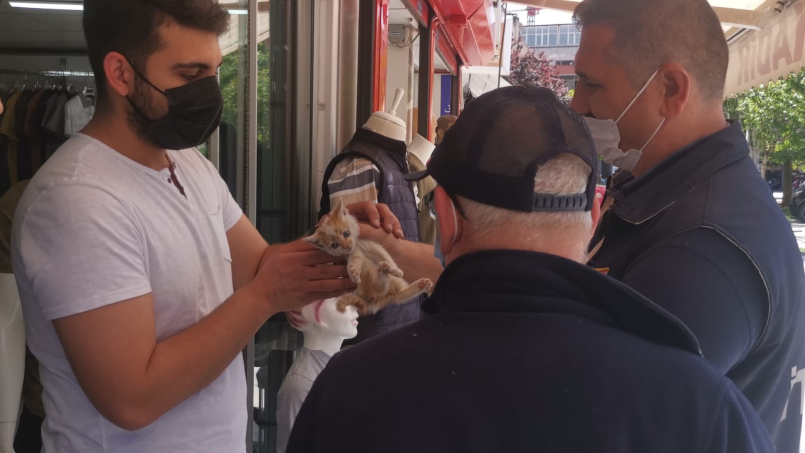 Gebze’de iş yerinin tabelasında mahsur kalan kedi yavrusunu itfaiye kurtardı