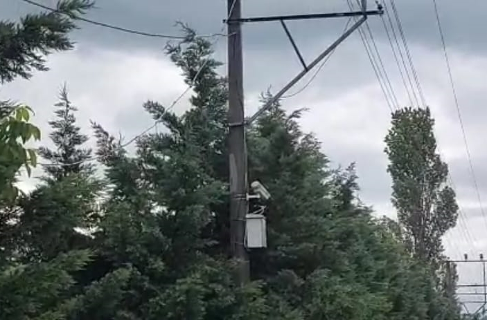 Gebze’de elektrik tellerine çarpan iki karga MOBESE kablolarının yanmasına neden oldu