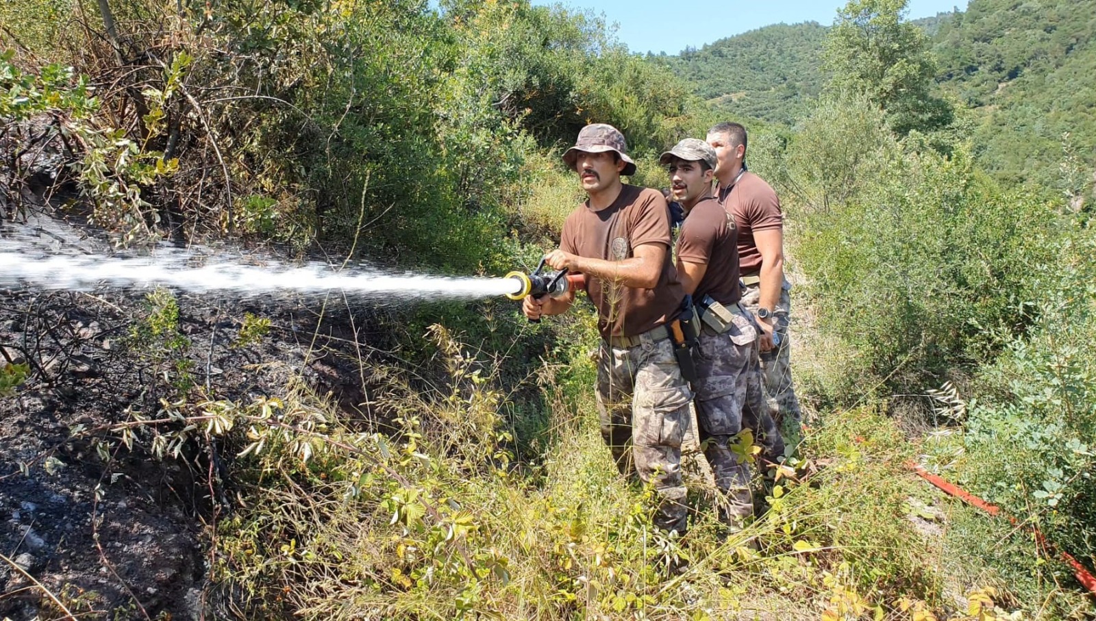 Kocaeli’de çıkan orman yangınında 20 dönüm alan zarar gördü