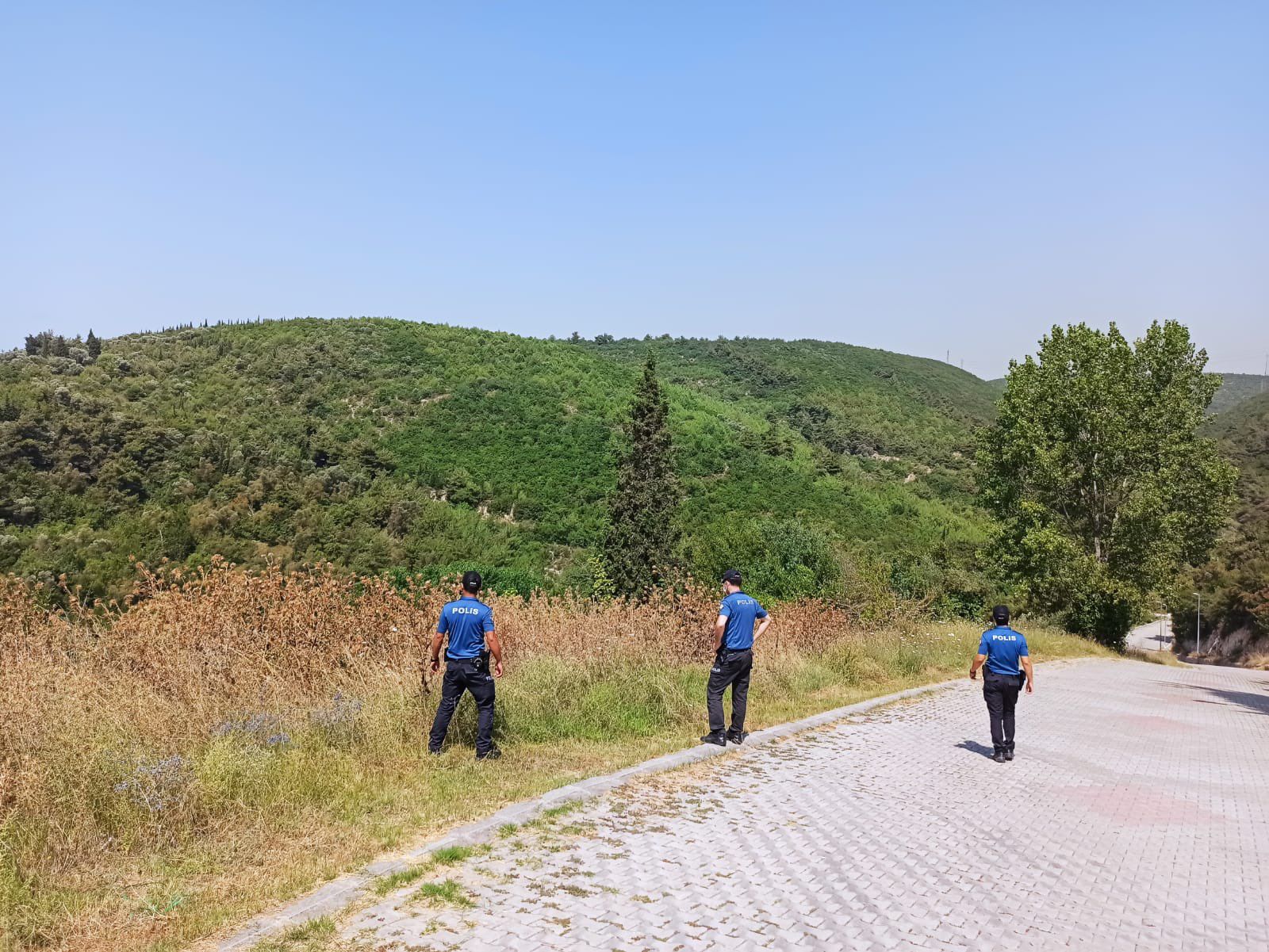 Kocaeli’de orman yangını riski nedeniyle çöplerin yakılması yasaklandı