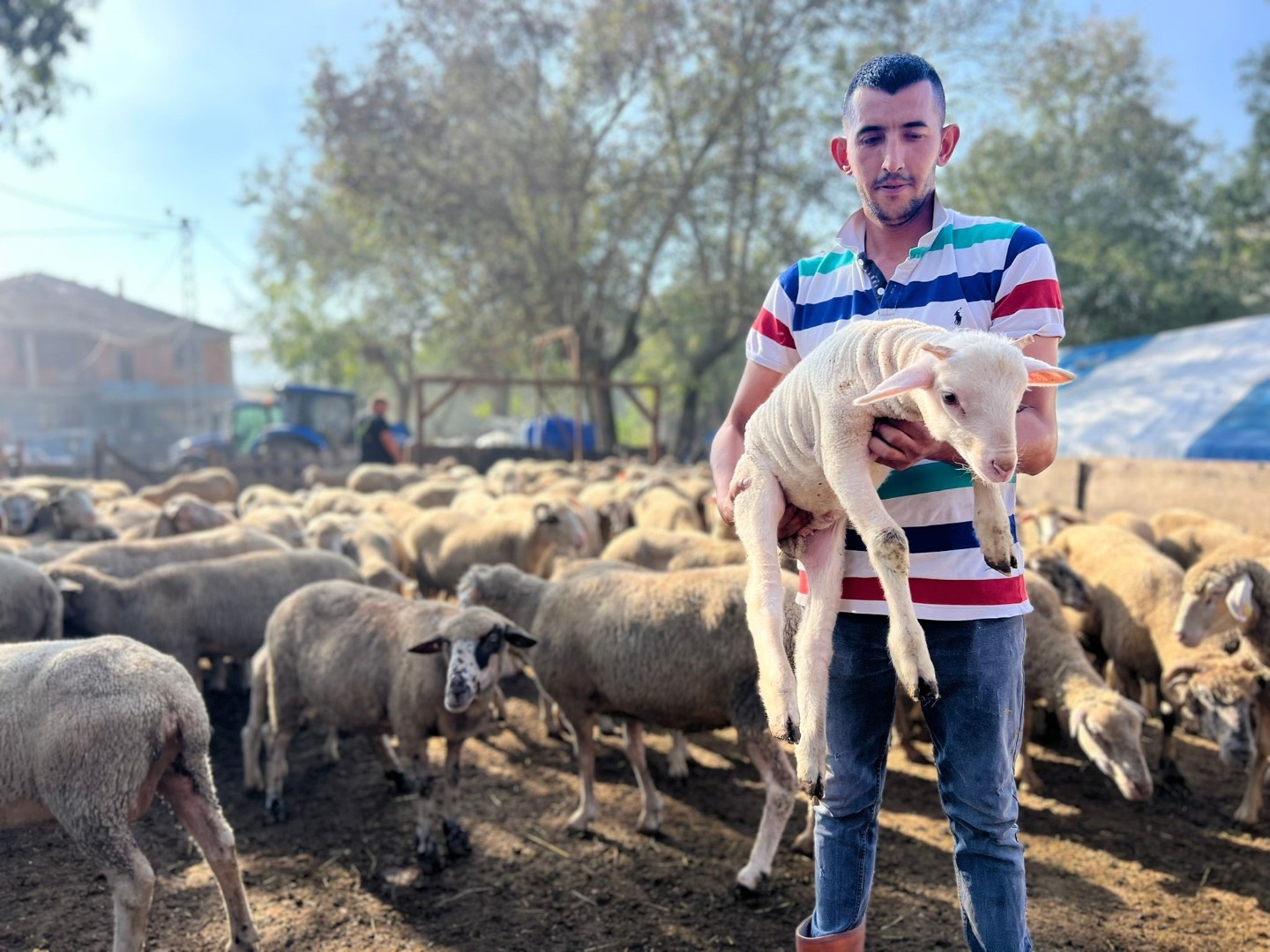 Kocaeli’de üreticiler küçükbaş hayvan hibe desteğinden memnun